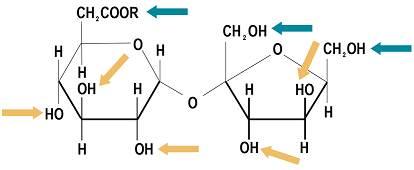 PC Chemical structure